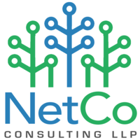 NetCo Consulting LLP logo, NetCo Consulting LLP contact details