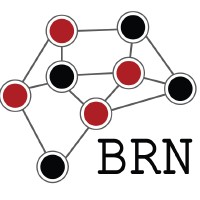 Bioinformatics Research Network logo, Bioinformatics Research Network contact details