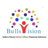 BullsVision logo, BullsVision contact details