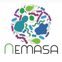 NEMASA UFLA logo, NEMASA UFLA contact details