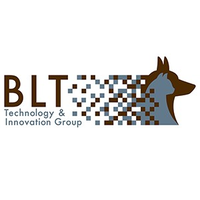 BLT Technology and Innovation Group logo, BLT Technology and Innovation Group contact details