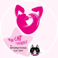 International Cat Care logo, International Cat Care contact details