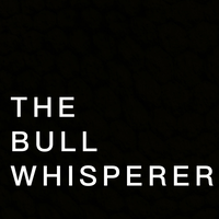 The Bull Whisperer logo, The Bull Whisperer contact details