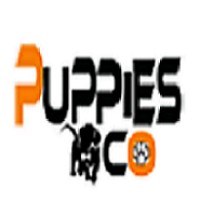 PuppiesCO logo, PuppiesCO contact details