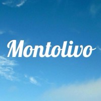 Montolivo logo, Montolivo contact details