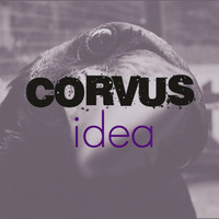 Corvus Idea logo, Corvus Idea contact details