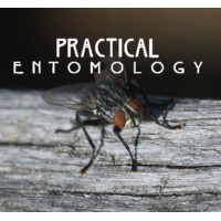 Practical Entomology LLC logo, Practical Entomology LLC contact details