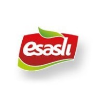 EsaslıGrup logo, EsaslıGrup contact details