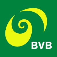 Basler Verkehrs-Betriebe BVB logo, Basler Verkehrs-Betriebe BVB contact details