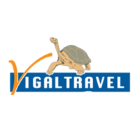 Vigal Travel logo, Vigal Travel contact details