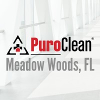 PuroClean of Meadow Woods logo, PuroClean of Meadow Woods contact details