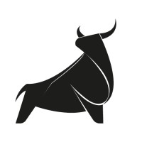 Steer Design logo, Steer Design contact details