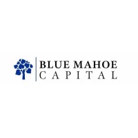 Blue Mahoe Capital Partners logo, Blue Mahoe Capital Partners contact details