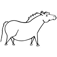 Fat Pony logo, Fat Pony contact details