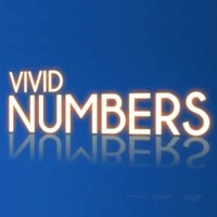 Vivid Numbers logo, Vivid Numbers contact details