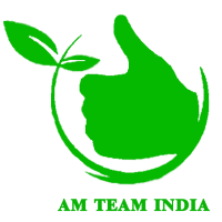 AM TEAM INDIA logo, AM TEAM INDIA contact details