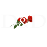 Deutscher & Daughter Inc logo, Deutscher & Daughter Inc contact details