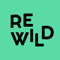 REWILD logo, REWILD contact details