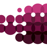 Wine Links logo, Wine Links contact details