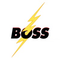 BOSS LTG logo, BOSS LTG contact details