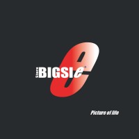 Bigsie Store logo, Bigsie Store contact details