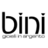 Bini srl logo, Bini srl contact details