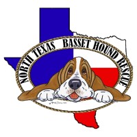 North Texas Basset Hound Rescue logo, North Texas Basset Hound Rescue contact details