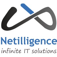 Netilligence Business Systems. LLC logo, Netilligence Business Systems. LLC contact details