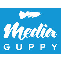 Media Guppy logo, Media Guppy contact details