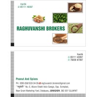 RAGHUVANSHI BROKERS logo, RAGHUVANSHI BROKERS contact details