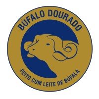 Búfalo Dourado logo, Búfalo Dourado contact details