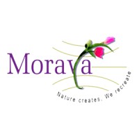 Moraya Global logo, Moraya Global contact details