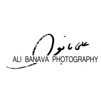 Ali Banava Photography logo, Ali Banava Photography contact details