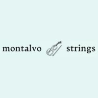 Montalvo Strings logo, Montalvo Strings contact details