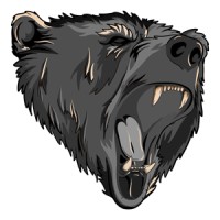 Grey Bear Enterprises logo, Grey Bear Enterprises contact details