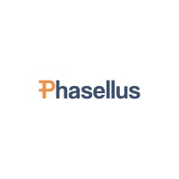 Phasellus Consulting logo, Phasellus Consulting contact details