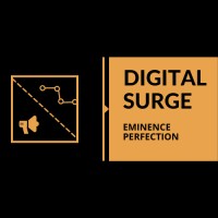 Digital Surge logo, Digital Surge contact details