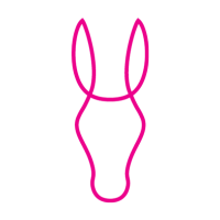 Pink Donkey logo, Pink Donkey contact details