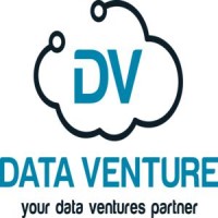 Data Venture Solutions logo, Data Venture Solutions contact details