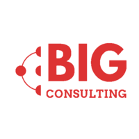 B.I.G. Consulting logo, B.I.G. Consulting contact details