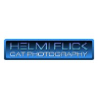 Helmi Flick Cat Photography logo, Helmi Flick Cat Photography contact details