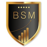 BSM BIG SOCIAL MEDIA logo, BSM BIG SOCIAL MEDIA contact details