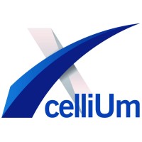 Xcellium Consulting logo, Xcellium Consulting contact details