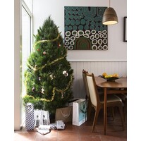 Melbourne Christmas Trees logo, Melbourne Christmas Trees contact details