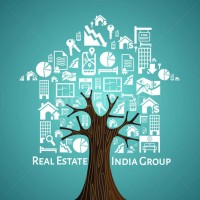 Real Estate India Group logo, Real Estate India Group contact details