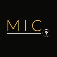 MIC DMC by AMV Travel logo, MIC DMC by AMV Travel contact details