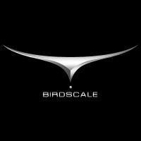 Birdscale technologies logo, Birdscale technologies contact details