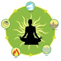 Yogic and Natural Life logo, Yogic and Natural Life contact details