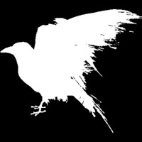 White Raven IT Services logo, White Raven IT Services contact details