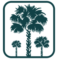 Palmetto Family Advocacy, LLC logo, Palmetto Family Advocacy, LLC contact details